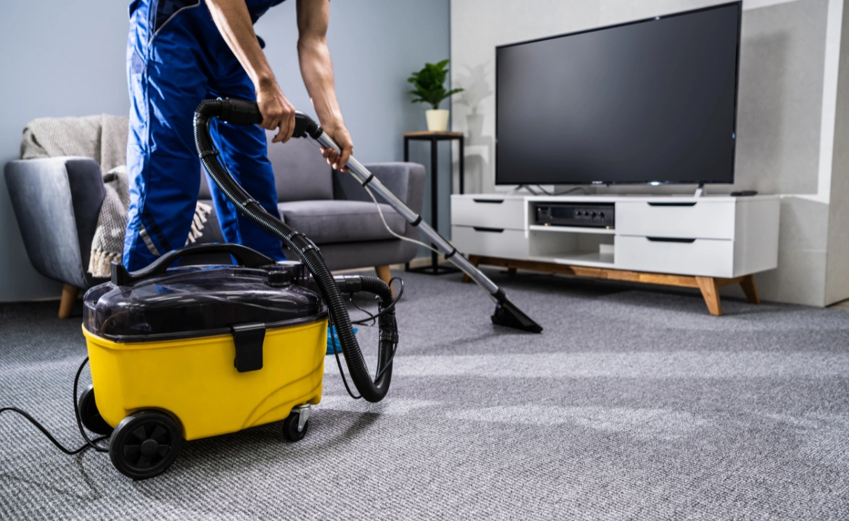 Extract Upholstery Cleaning Coolaroo Contact Office
